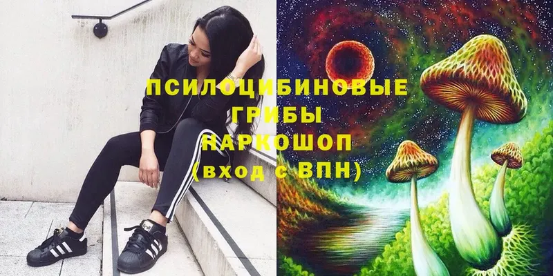 Галлюциногенные грибы Psilocybe  Алапаевск 