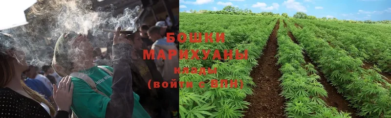 Канабис THC 21%  Алапаевск 